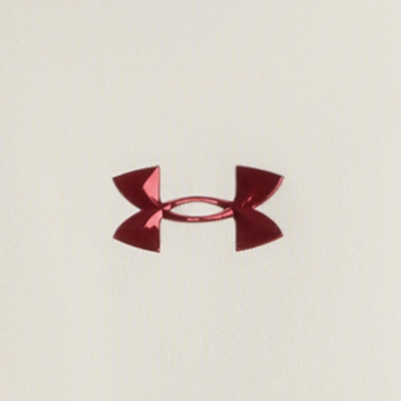 Under Armour logoT
