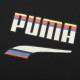 Puma T