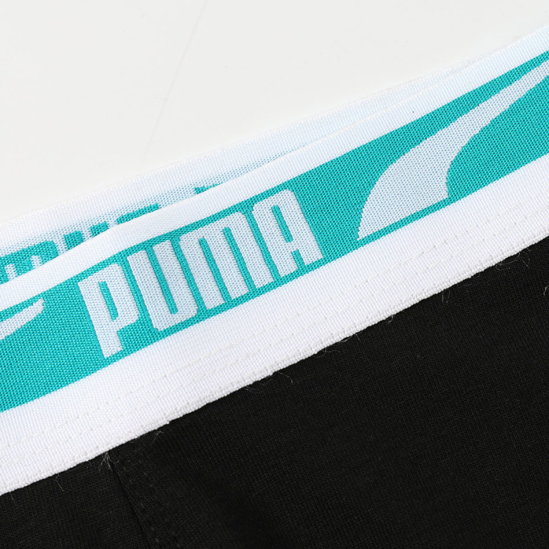 PUMA 1