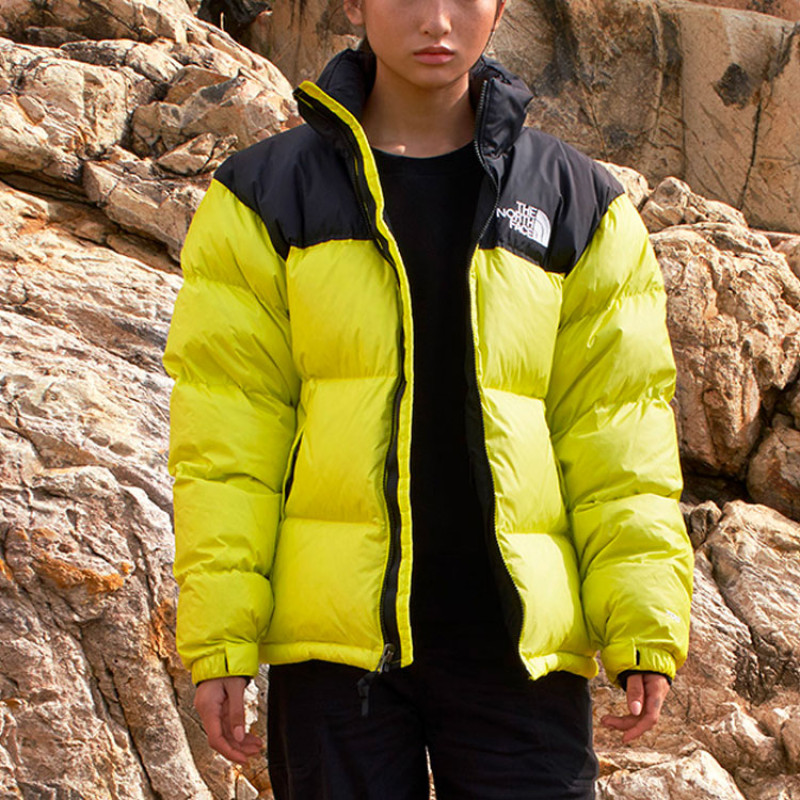 THE NORTH FACE 1996 Nuptse 700