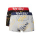 EVISU 2