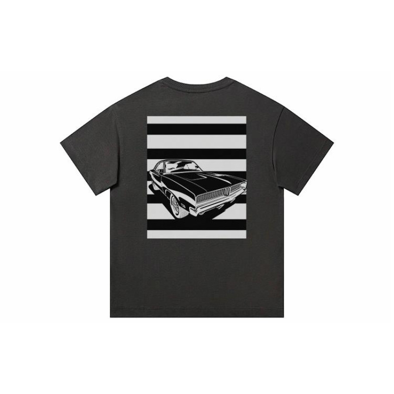 FAIRWHALE T