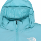 THE NORTH FACE 1996 Retro Nuptse 700