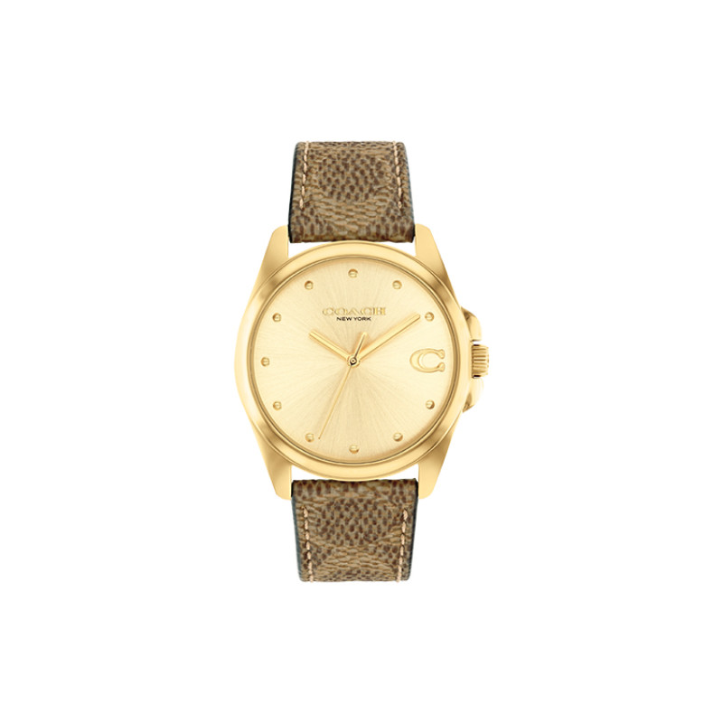 COACHGREYSON 36mm 14504111