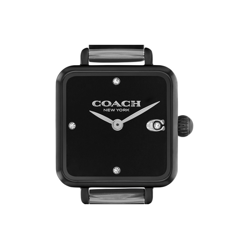 COACH CASS C 14504307