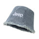 Jeep ins