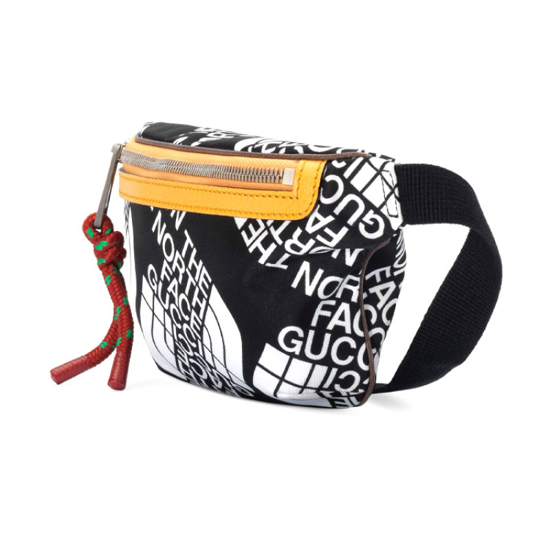 GUCCI x THE NORTH FACE Logo THE NORTH FACE