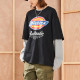 Dickies Logo