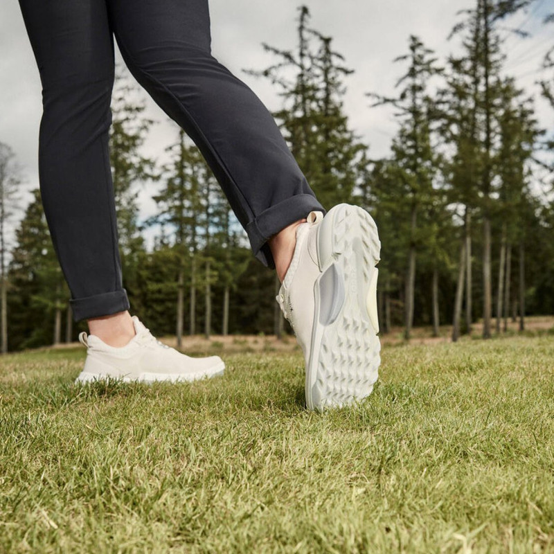 ecco Biom H4