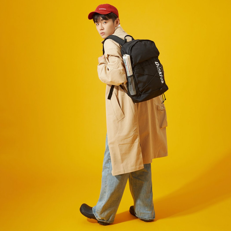 Dickies