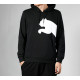 Puma Logo
