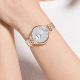 SwarovskiCRYSTALLINE 5544590