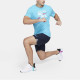Nike Pro Flex Logo