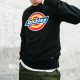 Dickies SS21 Logo