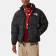 THE NORTH FACE 1996 Retro Nupts 700
