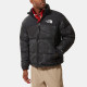THE NORTH FACE 1996 Retro Nupts 700