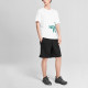 THE NORTH FACE T