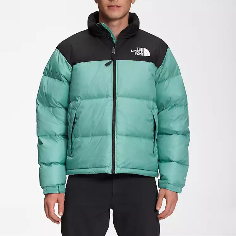 THE NORTH FACE 1996 Retro Nuptse SS22 Logo700