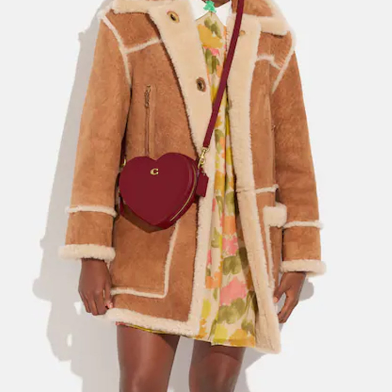 COACH Crossbody 19