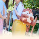 Disney 30cm