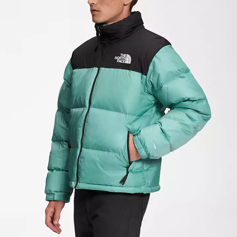 THE NORTH FACE 1996 Retro Nuptse SS22 Logo700