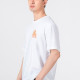Converse T