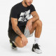 Puma T