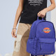 Dickies Logo