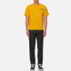 EVISU T