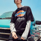 Dickies Logo