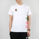 Air Jordan Label T