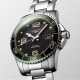 LONGINES 300 41mm L3.781.4.05.6