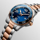 LONGINES 300 41mm L3.781.3.98.7