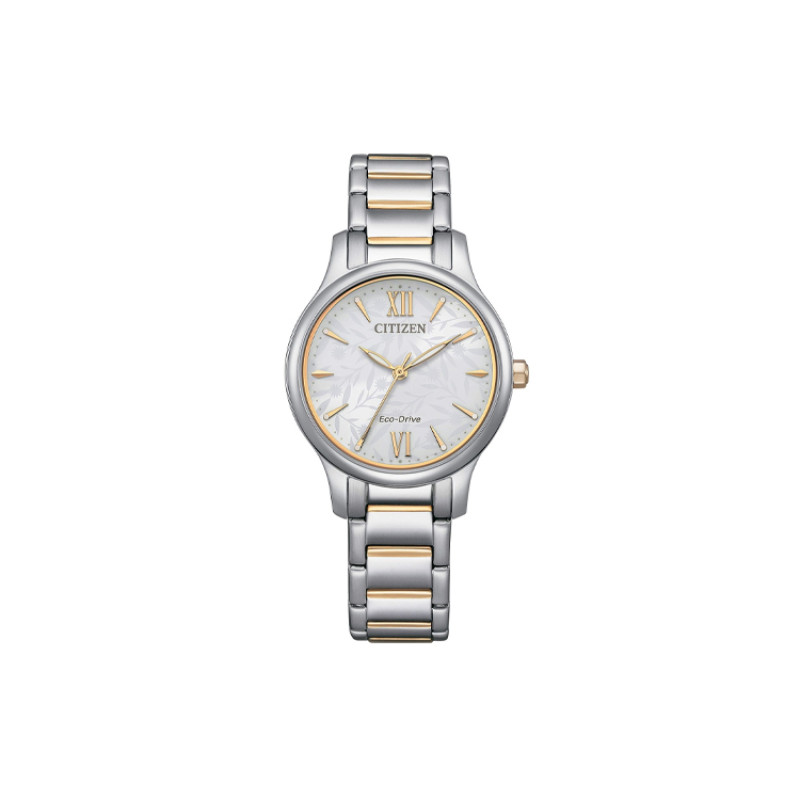 CITIZEN Eco Drive 50 EM0895-73A