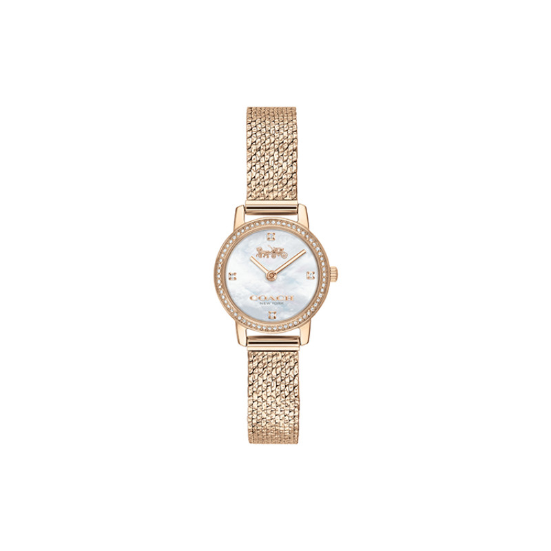 COACH AUDREY 22mm 14503372-1