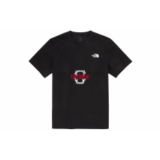 THE NORTH FACE YXYY T