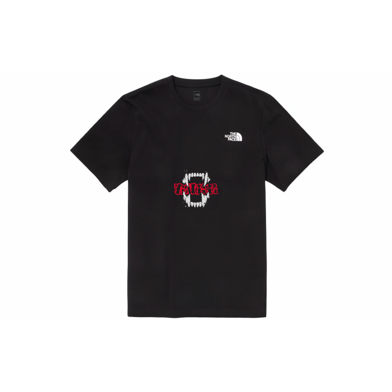 THE NORTH FACE YXYY T