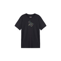 Air Jordan T