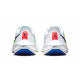 Nike Air Zoom Pegasus 39 GS