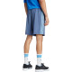 adidas originals Pinstripe Sprinter Shorts Logo