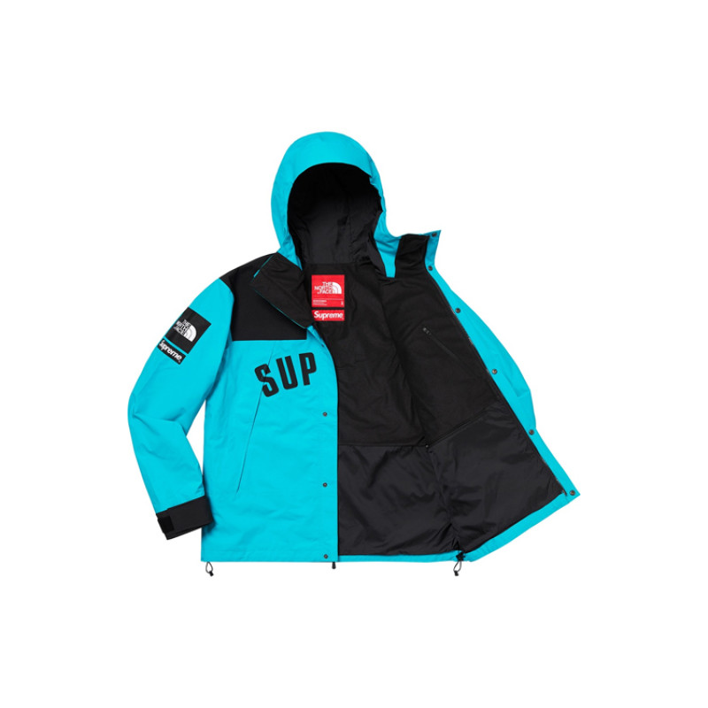 Supreme x THE NORTH FACE SS19