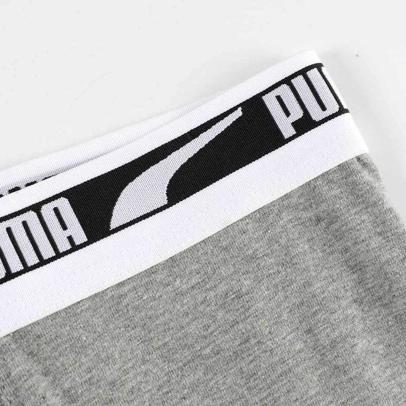 PUMA 2