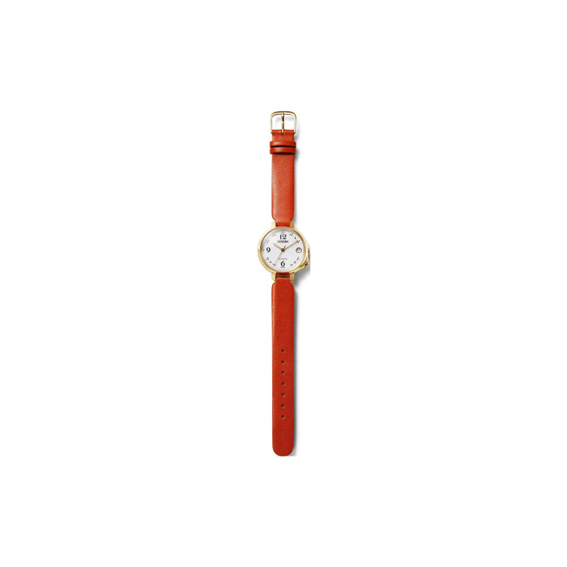 CITIZEN 33mm EE4018-13A