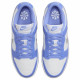 Nike Dunk Low NEXT NATURE