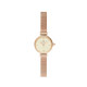 Daniel Wellington 19MM