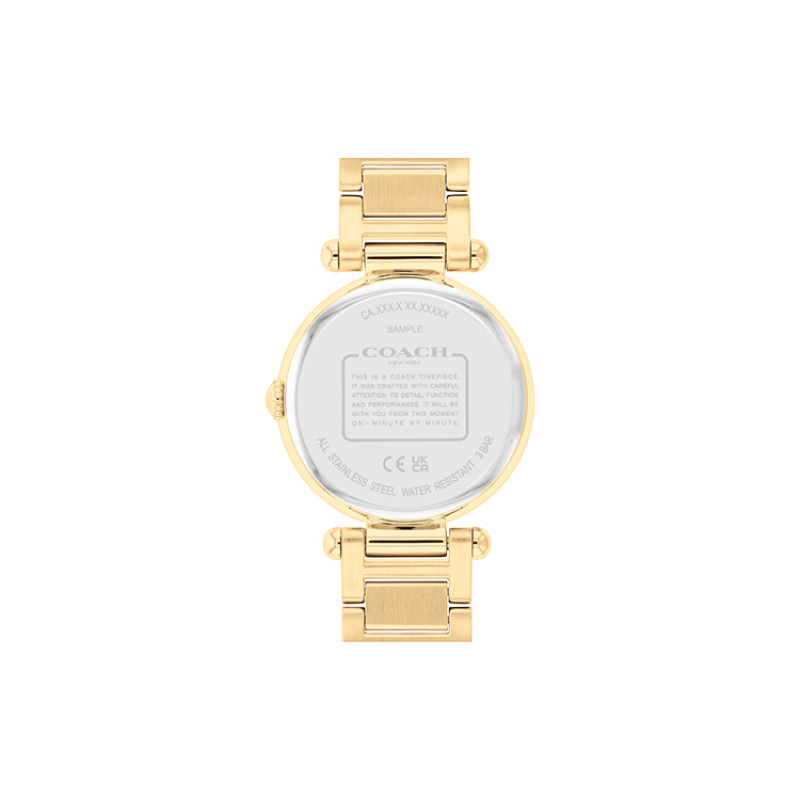 COACHCary 34mm 30