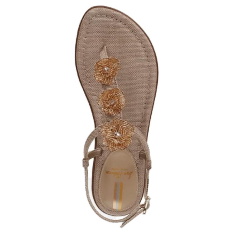 SAM EDELMAN 1.5cm