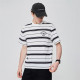FAIRWHALE T