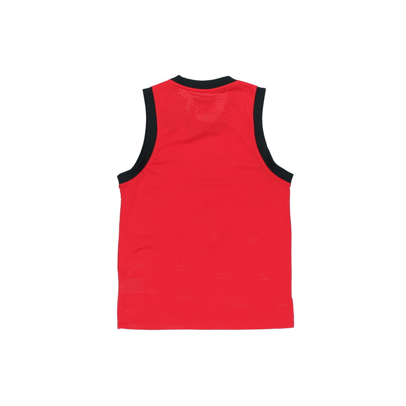 Air Jordan Jumpman Sport DNA