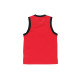 Air Jordan Jumpman Sport DNA